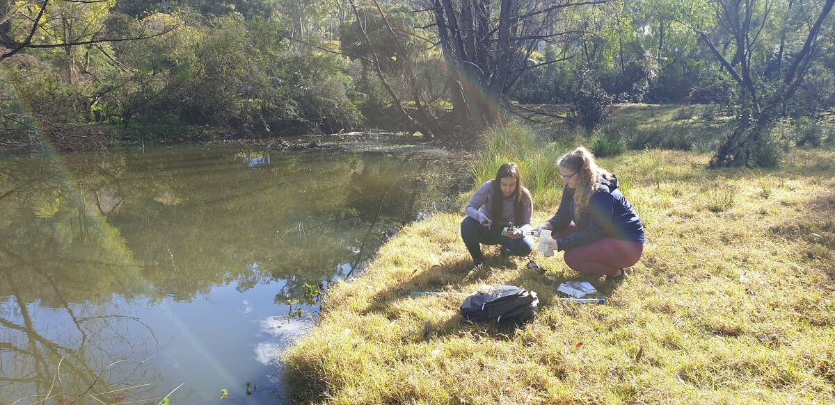 Taking environmental samples from Long Swamp, Cattai: Undergraduate Gabrielle Sabatoni with PhD student Katherine Morrison. Photo: Western Sydney University 