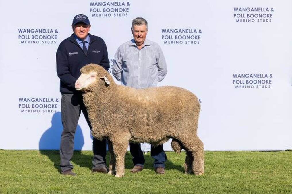 Top price: Purchased by the Landsdowne Poll Merino stud, Tambo, Qld for $17,000. With AFA general manager Justin Campbell and Landsdowne stud classer Chris Bowman. Photos: Annabel Lugsdin
