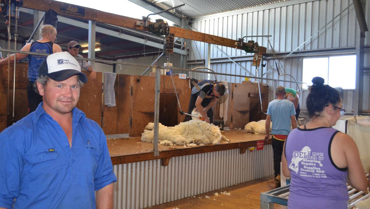 Convenor of the Bookham Agricultural Bureau wether trial Davo Weir during the the third shearing of the 280 wethers entered in the trial which started in 2018.
