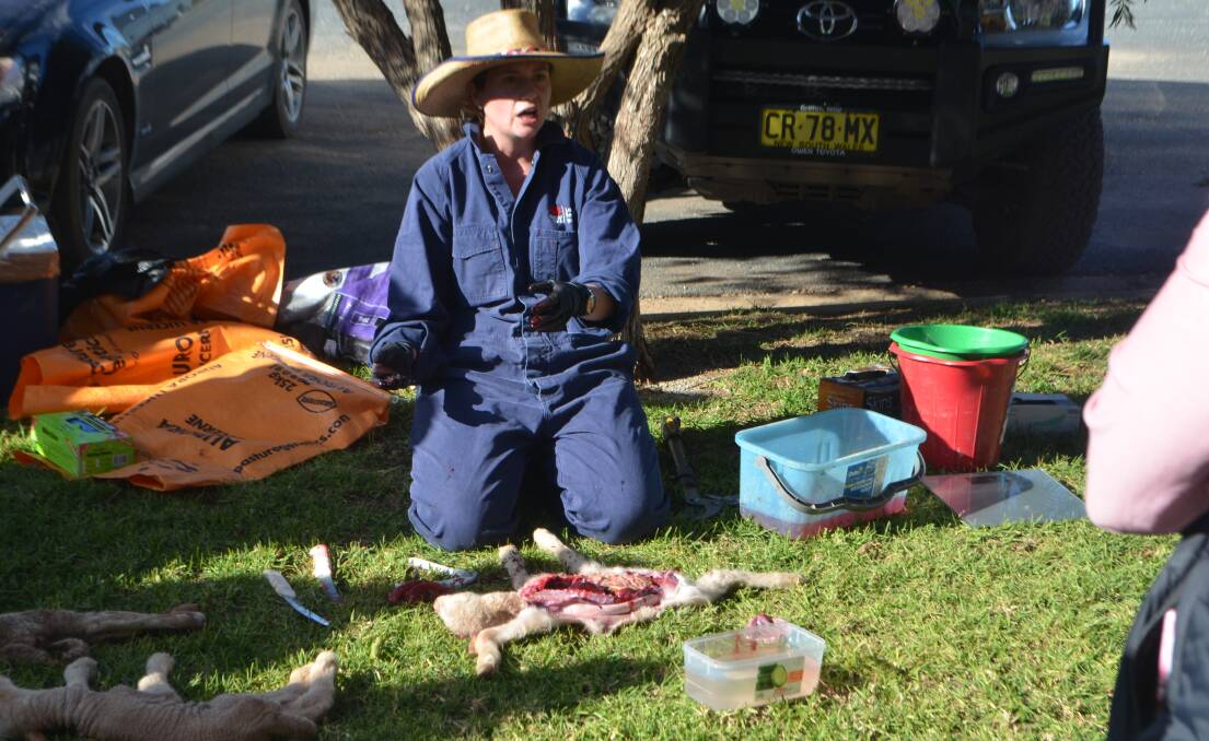 Riverina Local Land Services district vet Sophie Hemley explains the cause of death after performing post mortem examinations on dead lambs. 