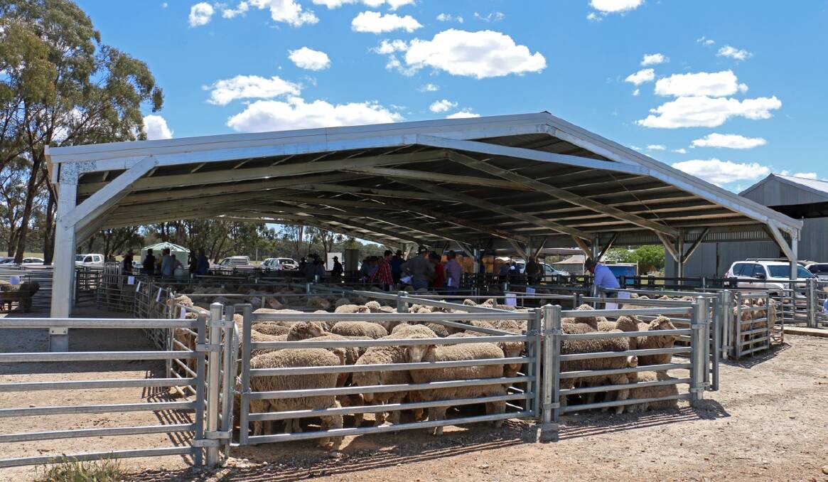 Ends

Comfortable working space: Leigh Colledge, Arrow Farmquip, will help host a low stress stock handling workshop at The Vale, Temora, on November 28-29. Photo: supplied
