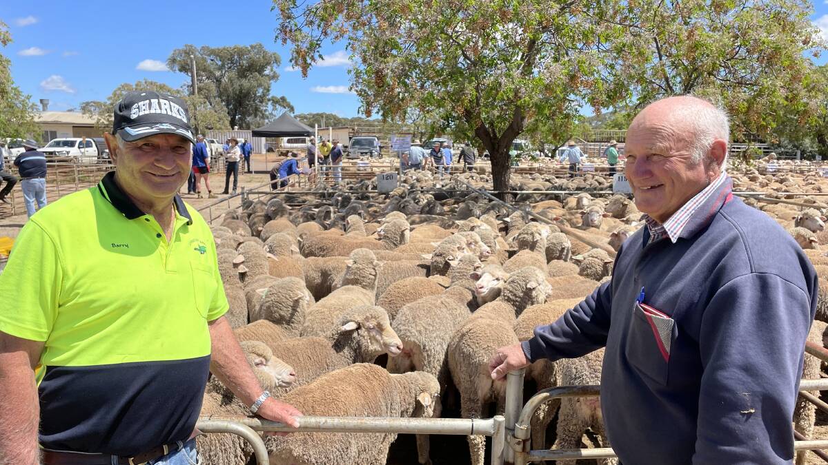 Barry and John Johnson, Austral-Eden, West Wyalong, with the best presented pen of grown sheep sold for $300.