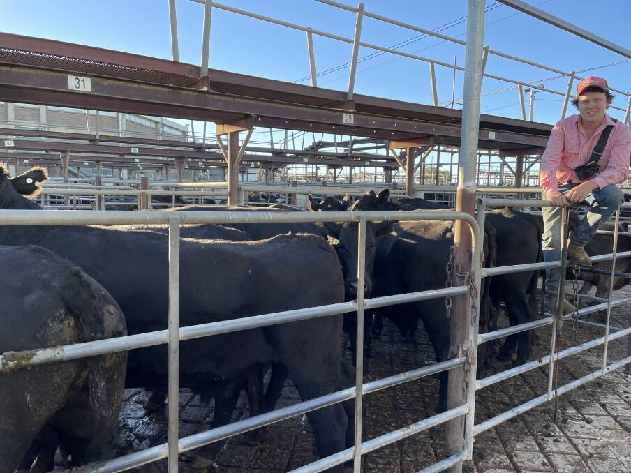 Harrison Daley, Elders, Adelong/Tumut, with the pen of ten Angus cross steers penned by Boraig Station, Talbingo, which weighed 577kg average and sold for $2827.