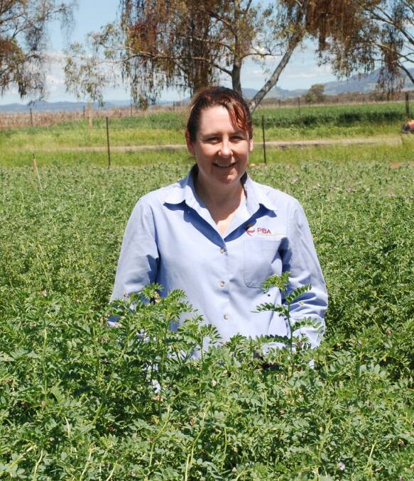 Dr Wood is asking growers to complete an anonymous survey on their experiences with chickpeas in 2017. Photo: supplied