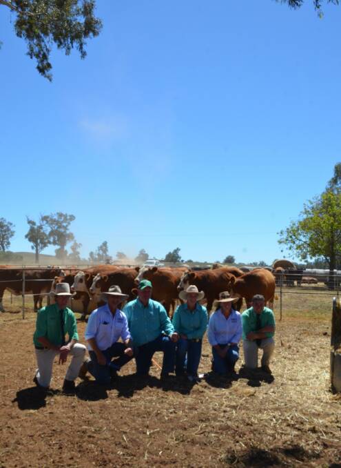 Auctioneer Hamish McGeoch, John Hopkins, Stuart and Samantha Moeck, Nicole Hopkins and Tim Woodham, Nutrien stud stock in front of a line of Simmental heifers.