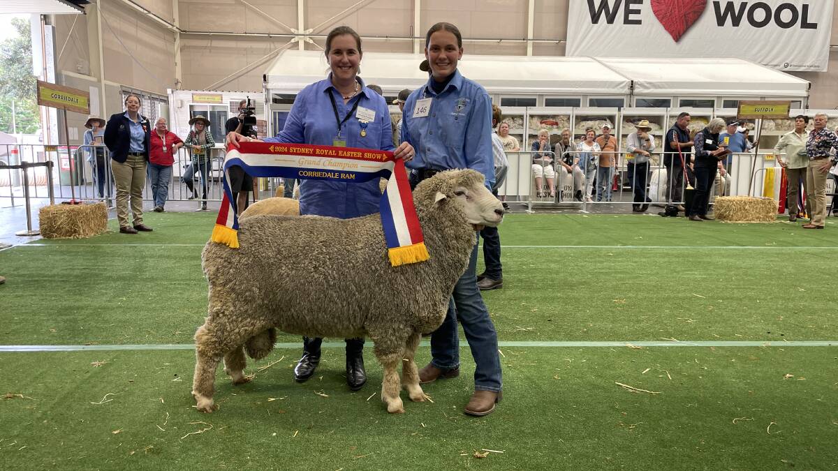 Corriedale judge Georgina Pengilley, with the champion Corriedale ram exhibited by the Lithgow High School, Eskbank stud and paraded by Liliah Dolbel, Lithgow High School.
