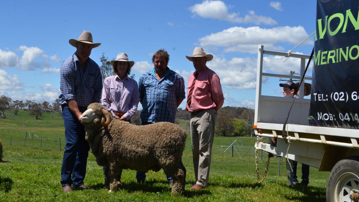 Simon and Kristina King, Avonside Merinos, Cooma with buyer top priced ram Adrian Carpenter, manager Connorville Station, Cressy, Tasmania and auctioneer Paul Jameson (Elders). 