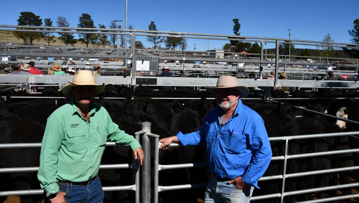 Damien Roach, Nutrien Ag Solutions, Cooma, with Matthew Tonkin, general manager Clea Pastoral Co, Jerangle, and the pen of 25 Angus steers weighing 330kg sold for $1800. 