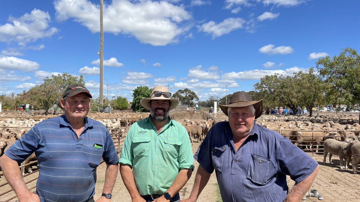 Harry Rowlings, Ungarie, sold 142 Merino ewes for $320, Will Dean, Nutrien, West Wyalong, and Graham Tulloch, West Wyalong, sold five and half year Merino ewes for $248.
