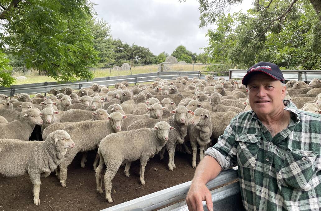 Finalist: Anthony Elmes, Glenayr, Biala, with his Royalla/Boudjah-blood maiden ewes.