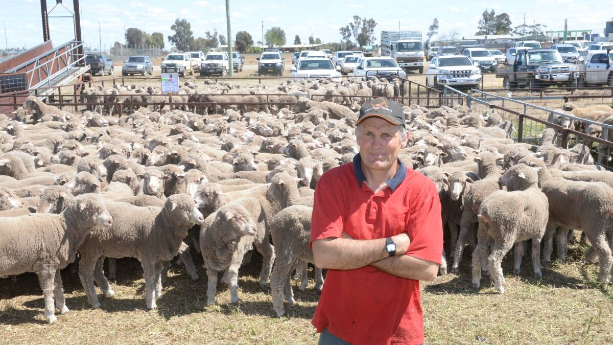 Ashely Gawne with his wife Ros, Boort, Victoria paid $190 for 495 ewes.
