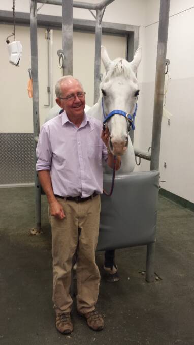 Vaccination: Show horse with stable name of Sam, who has just recieved his vaccination as part of the trial,  with CSU Associate Professor Bryan Hilbert at the University’s Veterinary Clinical Centre. Photo: supplied.