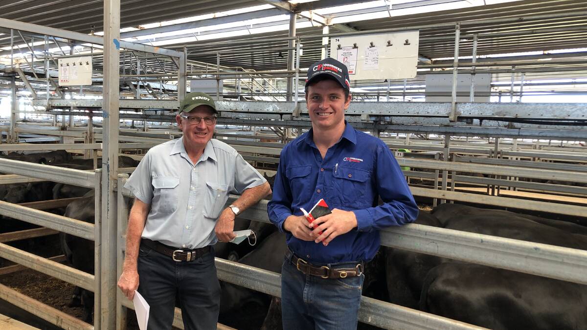 Neville Watkins, Charlock Partnership, Charleroi, Victoria, with Corcoran Parker agent Jackson Meehan and the pen of 12 Angus cows with calves which sold for $3920. Photo: Tim Keys NVLX