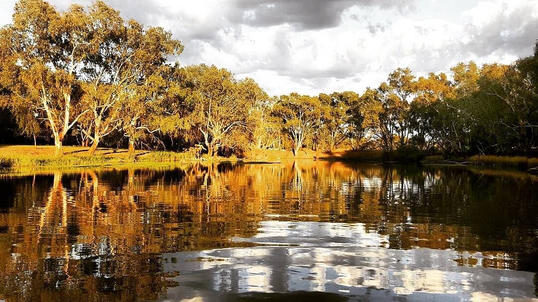 A thriving branch of the Yanco Creek filled with life. Photo: supplied