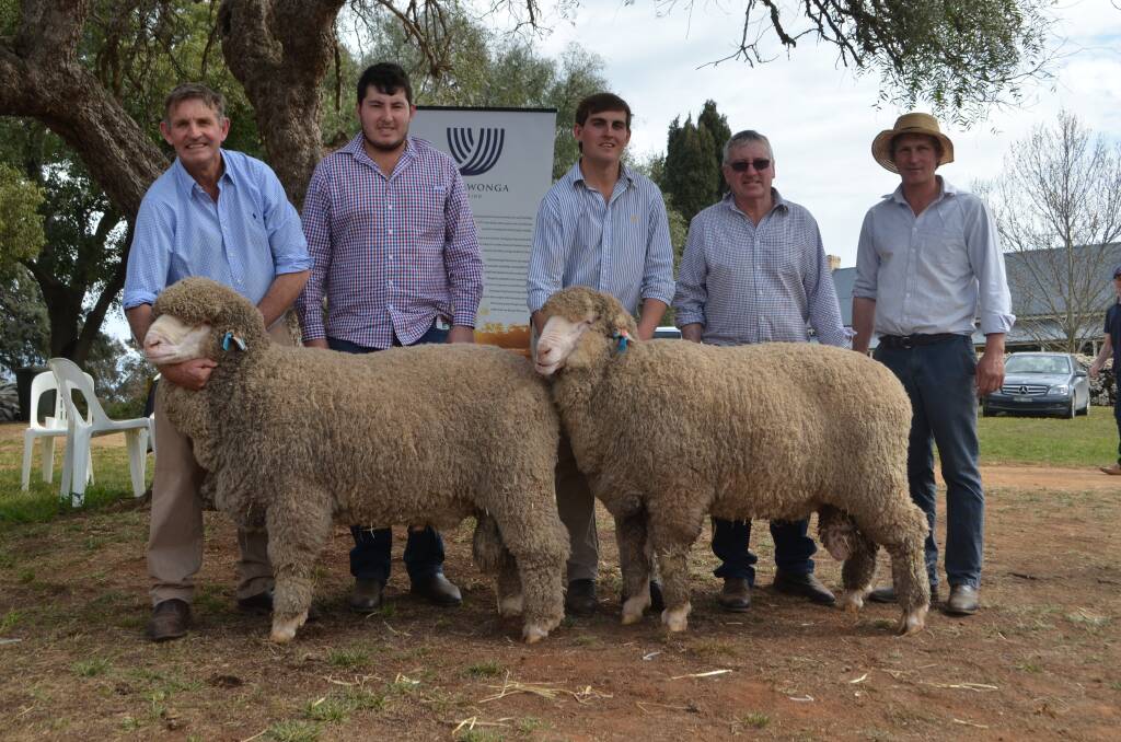 Steve Phillips, Jack McRae, Sam Phillips, Warren McRae and Ben Patrick with the two Poll Merino rams bought by the McRaes for $12,000 and $6000.