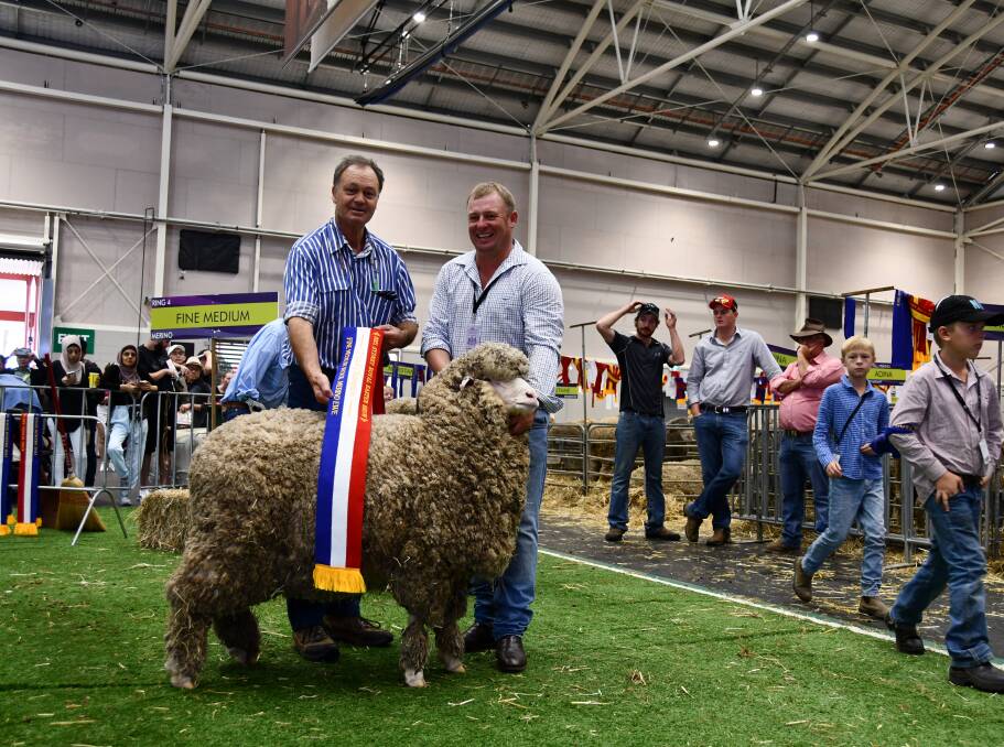 George Merriman, Merryville, Boorowa sashing the grand champion fine-medium wool ewe exhibited by Anthony Frost, Thalabah, Laggan.