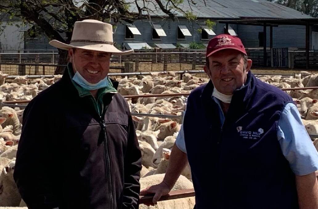 Jarrod Slattery, Nutrien Wagga Wagga, with David Hill, Corowa, who purchased 500 first-cross ewes at Gnadbro. Photo: Peter Cabot
