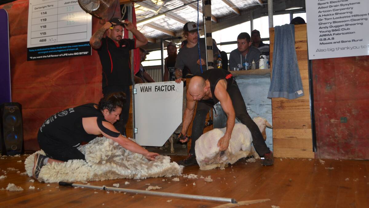 Roustabout Angela Wakeley rolls up another Merino fleece during Josh 'Wah' Clayton's attempt on the world shearing record with his second Rocky Wagner giving encouragement.