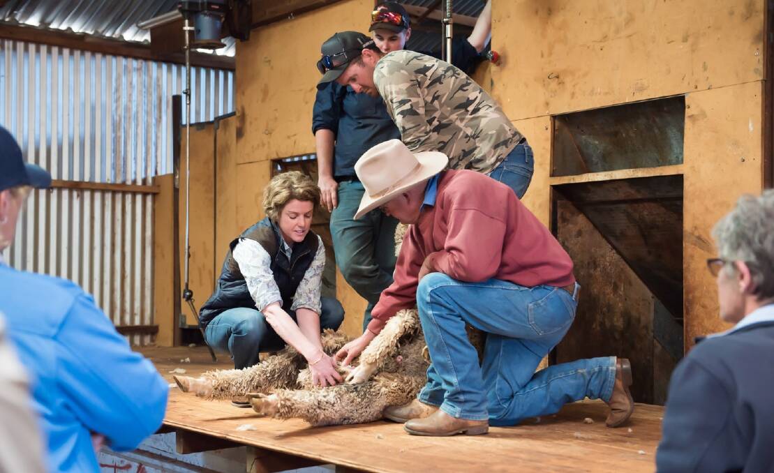 Heath test: Western Local Land Services District Veterinarian, Charlotte Cavanagh performs a pre-joining check on a ram's testes at a biosecurity field day at the end of last year. Photo: supplied.


