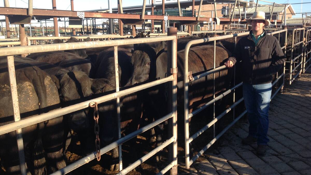 Shannon Wicks, Nutrien, Wagga Wagga, with pen of 19 Angus steers weighing 668kg sold for $3327.45.