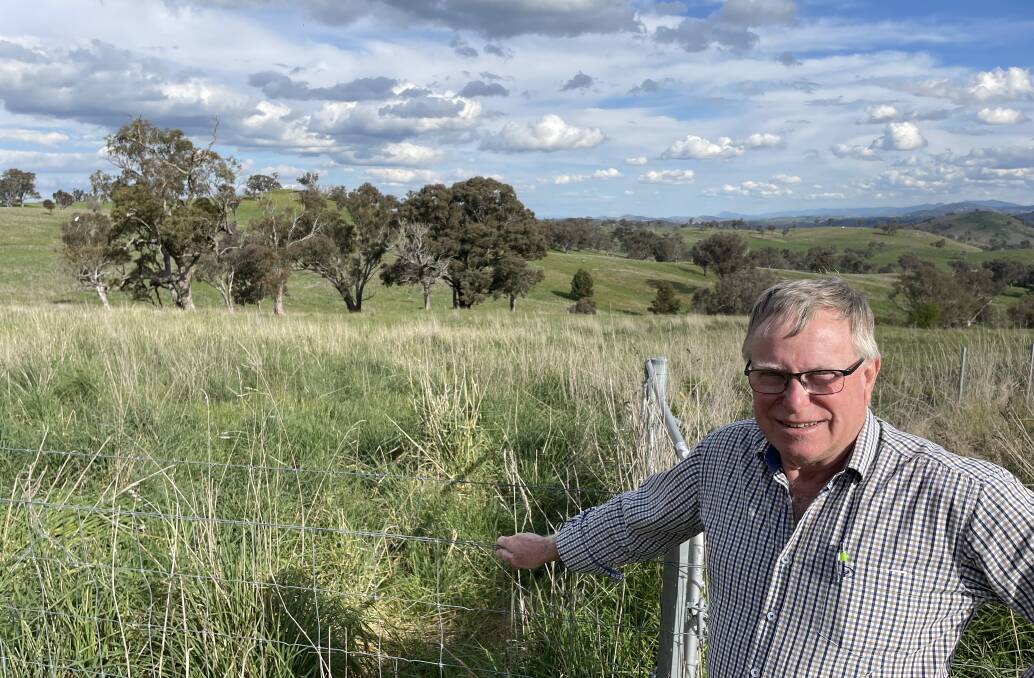 Phil Graham looking over an improved pasture at Yass is concerned about the high cost and low persistence of pastures in the high rainfall zone.
