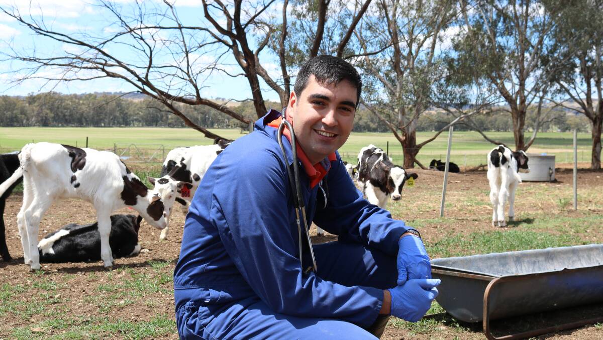 Dr Angel Abuelo from the Graham Centre for Agricultural Innovation.
"I'll be investigating how the nutrition and metabolic status of a cow during late pregnancy influences the programming and development of the offspring's immune system," Dr Abuelo said.
