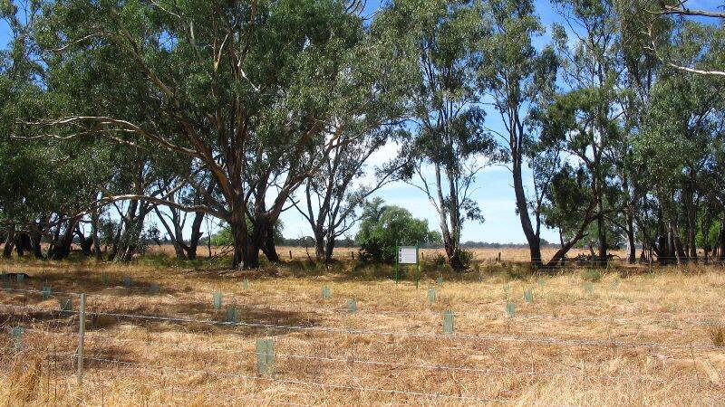 Riverina Local Land Service is seeking public feedback on proposed changes to management of travelling stock reserves. Photo: supplied
