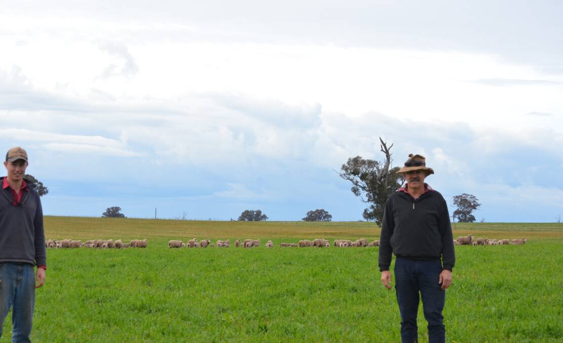 Archie Alexander with his father Brent in the paddock of mixed species cover crops grazed by September-shorn Merino ewes with July-drop lambs.