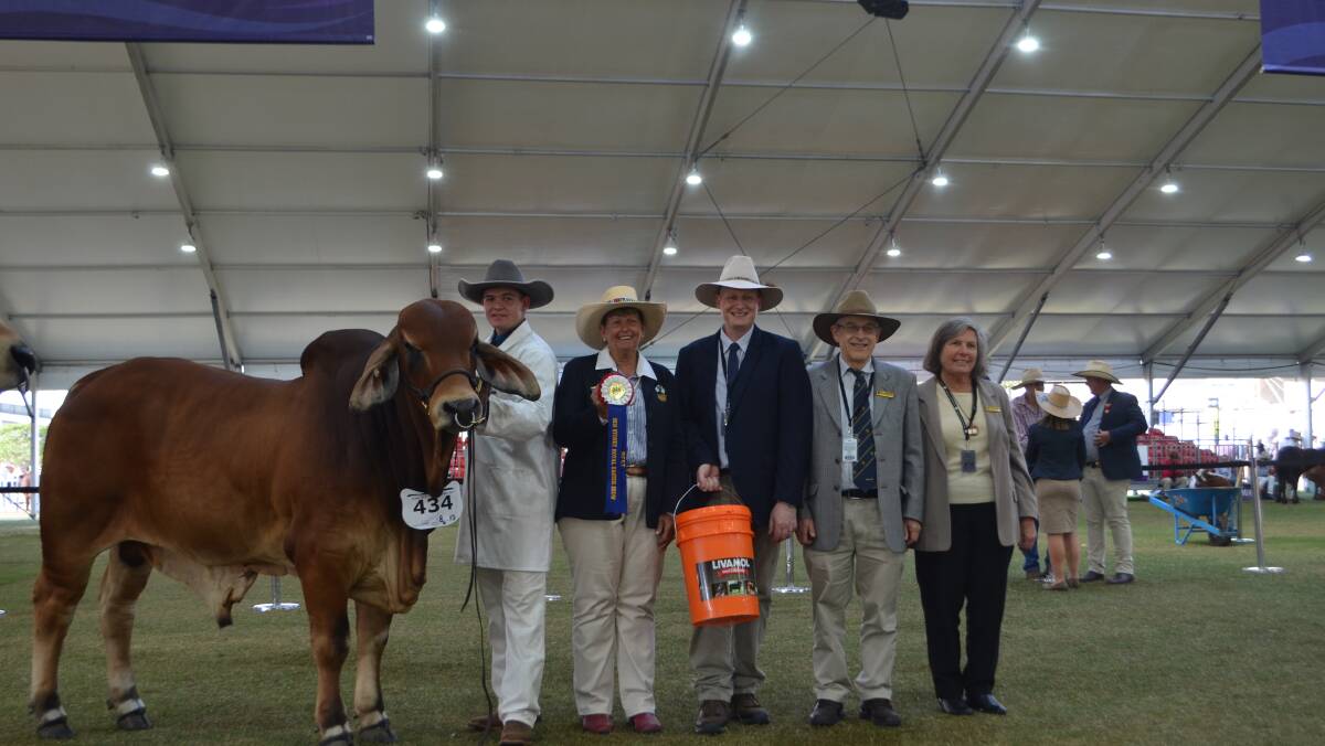 Best exhibit and grand champion Brahman bull Mogul Hendrix paraded by Reilly Randall, judge Wendy Cole, sponsor Jason Sutherland, International Animal Health Products and breeder Dr George Jacobs and his wife Janice Hirshorn. 
