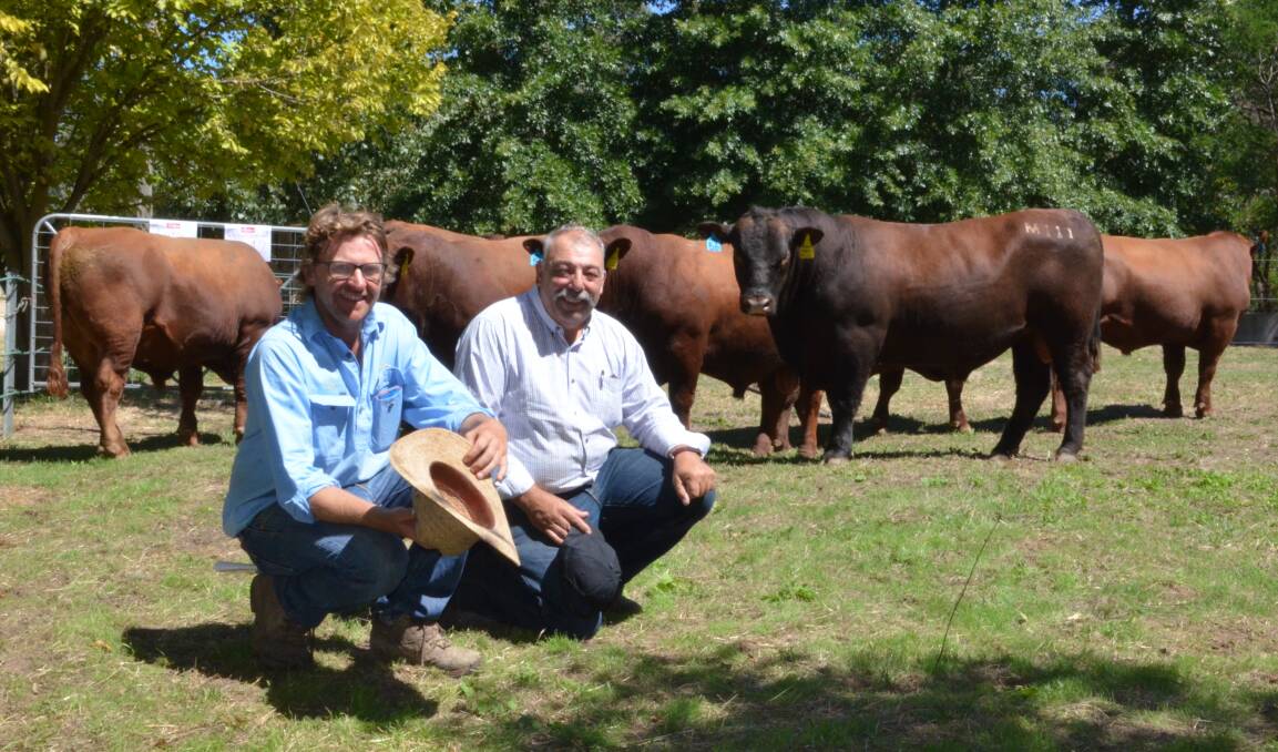 Tom Hicks, Hicks Beef, Holbrook, with Peter Saglietti, Ponkeen Red Angus, Tarcombe, Victoria who paid top price $16,500 for his choice of the offering.