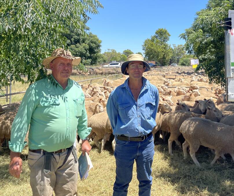 Mick Martin, Nutrien Narrandera, marked 50 years as an agent and is with client Paul Little, Narrandera, who sold 324 first-cross ewes for $240.