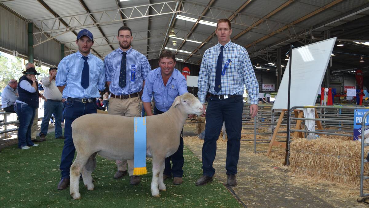 James Frost with the supreme shortwool and judges Finlay MacDonald, Callum Burrell and Tim Ferguson.