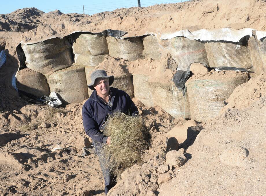 Peter Moore, "Blink Bonnie", Tarana checking round bale silage, a mix of cocksfoot and lucerne which was put into the silage pit in 2015, currently being fed out to mixed age ewes 
