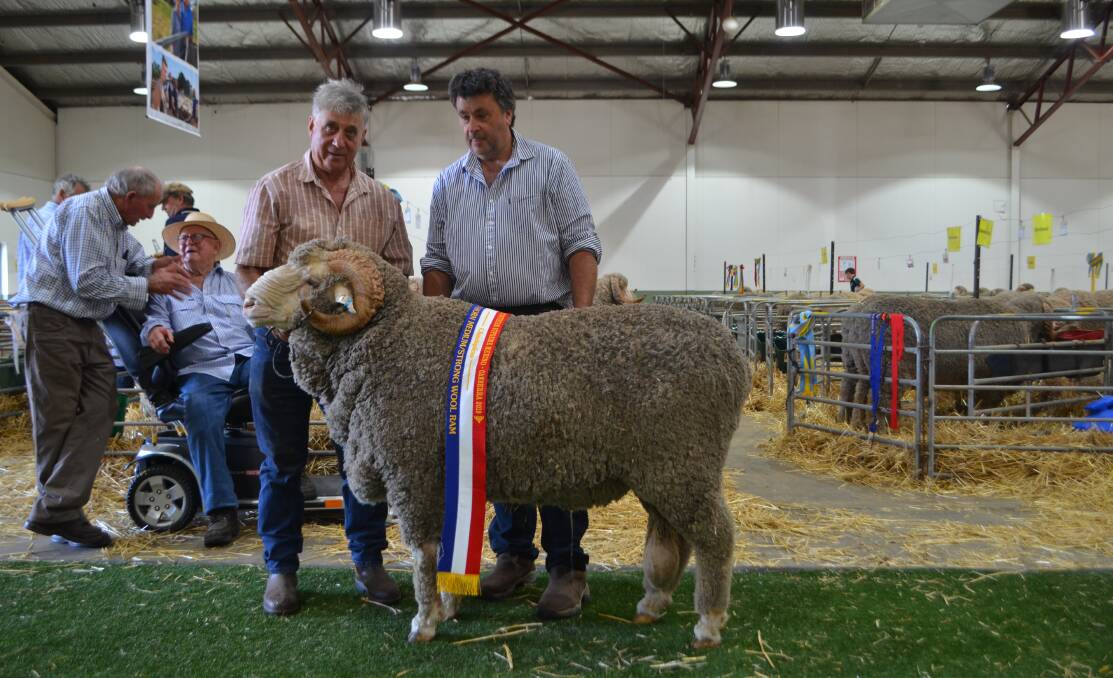 Robert Harding, Glendonald, Nhill showing his champion August-shorn medium/strong wool ram to Drew Chapman, Bombala.

