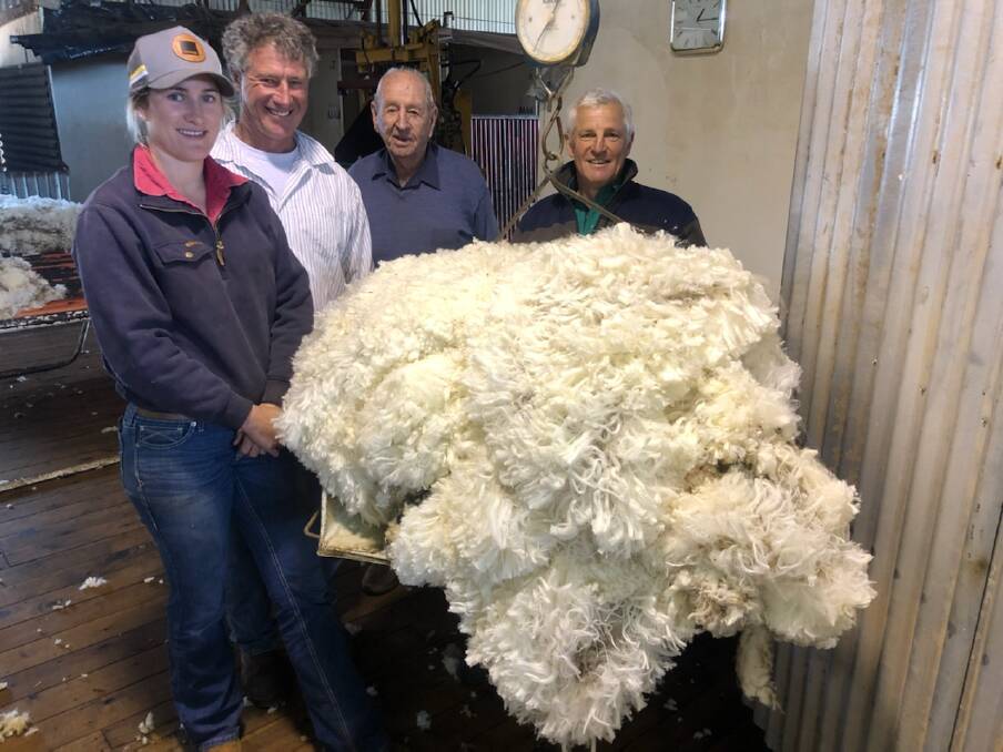 Meg, Oscar and Harold Crouch admire the purity of the 16.8kg fleece grown by their new sire with Warick Kopp, Towalba, Peak Hill. Photo: Cameron Kopp
