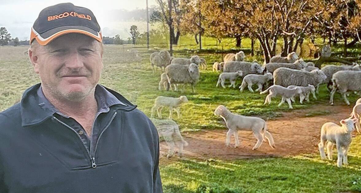 Steve Bruckner proud of the progeny of his home-bred first-cross ewes.