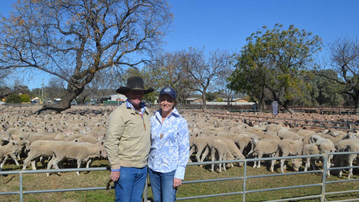 Robert Rogers and his partner Jess Palmer, "Yarto", Booligal, with a draft of 404 March/April 2017 drop, Alma-blood and July-shorn ewes that sold for $189 at Hay sheep sale.