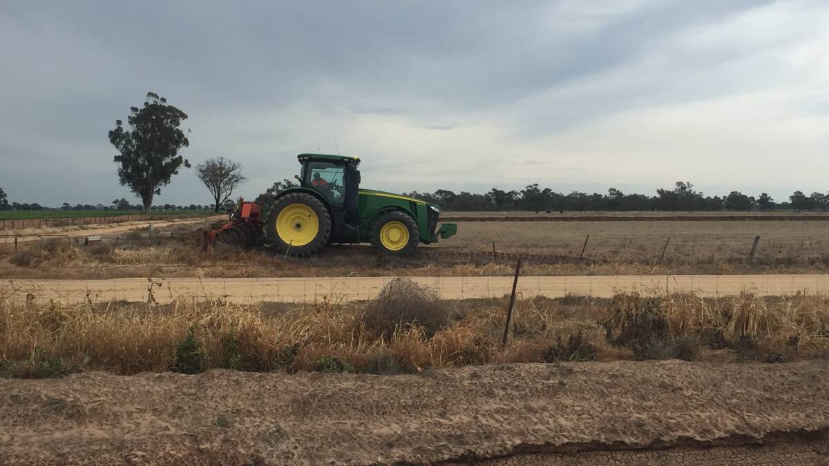 Preparing the banks for the 2020-21 rice season at Deniliquin.
