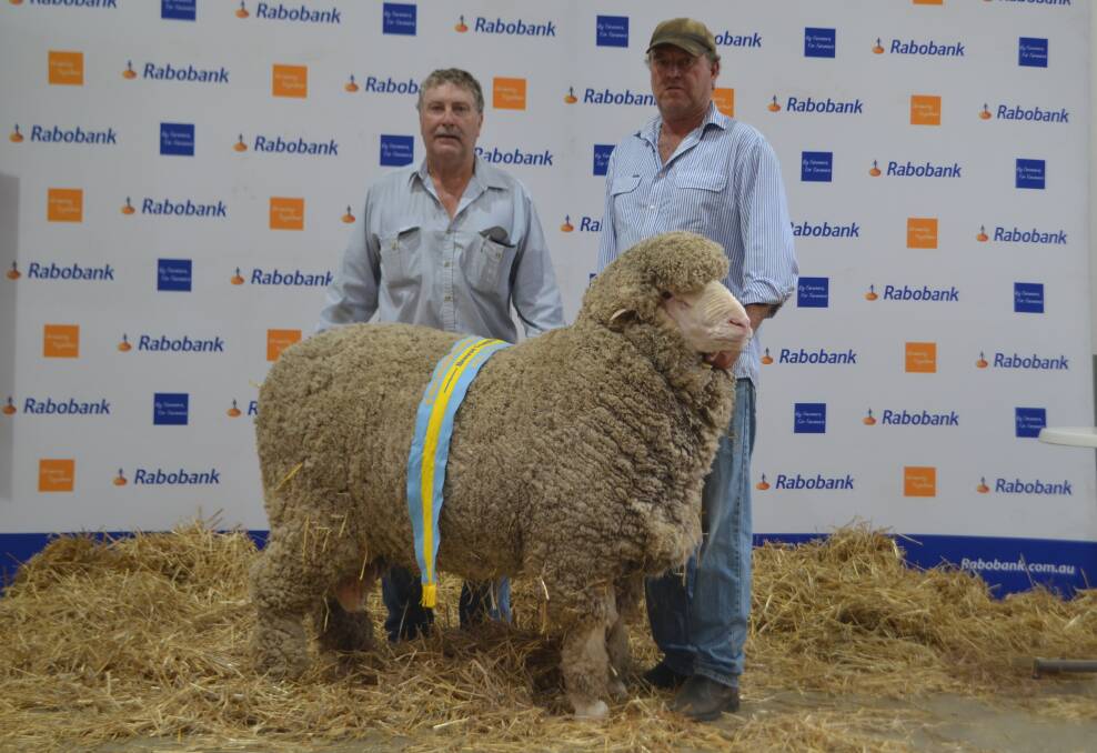 Brad Cartwright and Shannon Arnold parading the reserve champion Poll Merino sale ram bred in the Thalaba stud, Crookwell by John Williams.