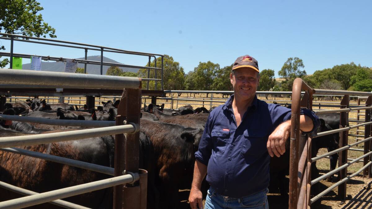 Bruce Whitsed, Nariel Valley with his pen of 35 Angus weaner steers weighing 348kg sold for $1810.