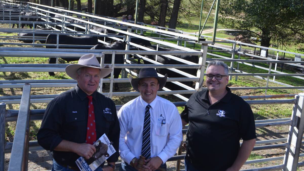 Reiland Angus principal Mark Lucas with auctioneer Lincoln McKinlay, GTSM, and Matt Macri, Skyfall Angus, Camden, who purchased Reiland bulls at the spring 2018 sale.