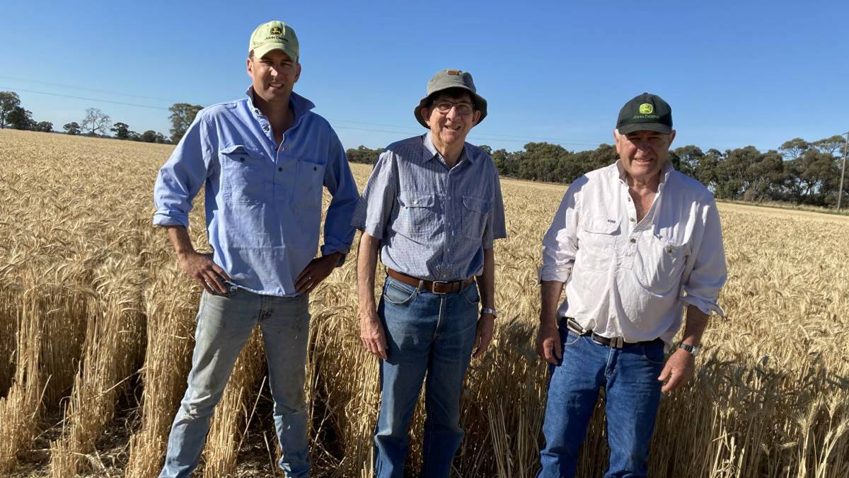 John Lacy (centre) with clients James and Rob Browne, Wolngi, Blighty, inspecting the dryland crop of Scepter wheat, yielding 6.5t/ha. Photo: supplied
