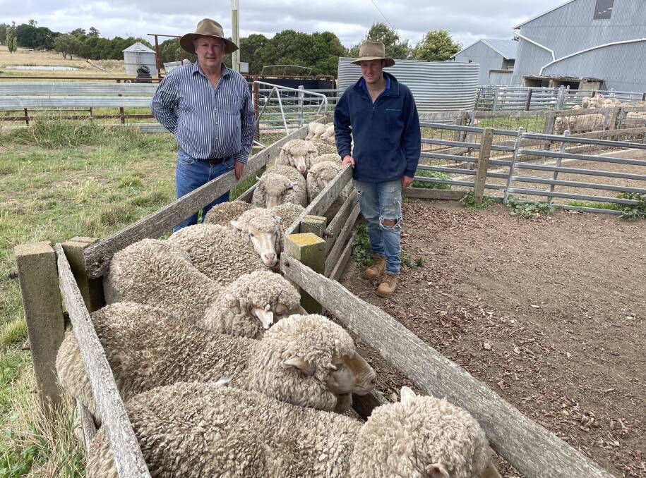 Chris and Hugh Croker, Ayrston, Golspie, with their May-shorn, Thalabah-blood maiden ewes classed by Jim Williams, Thalabah, Laggan.