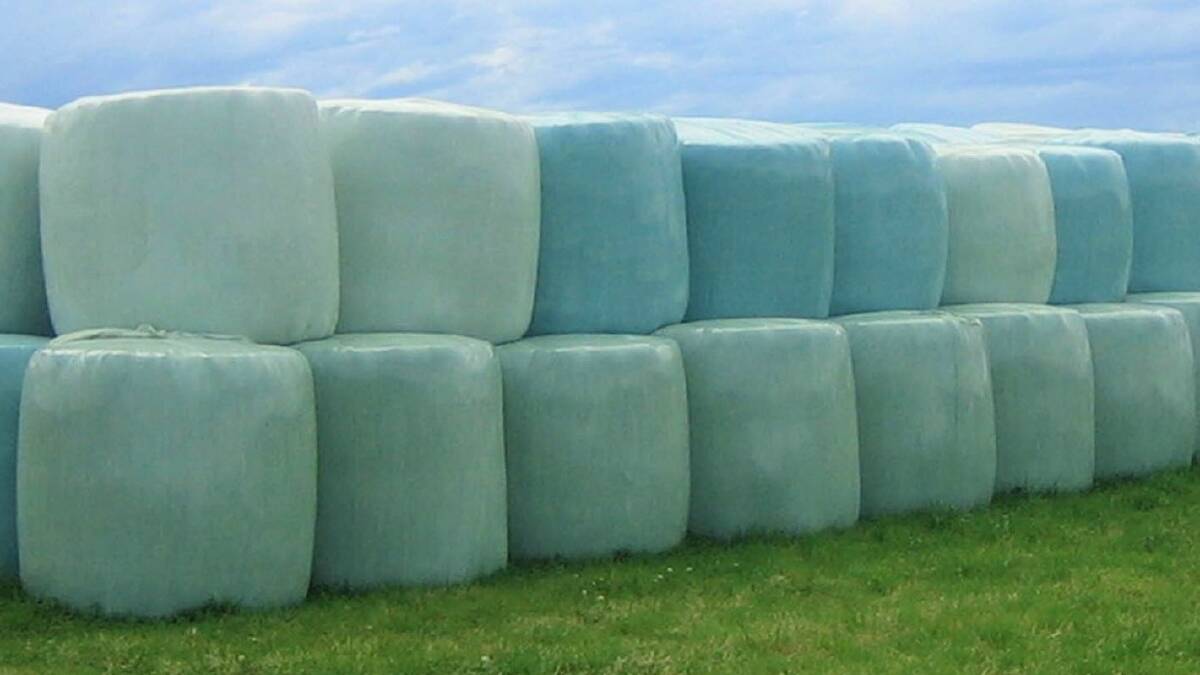 Bagged silage correctly stored on its end is a common site on Australian farms. Photo: NSW DPI
