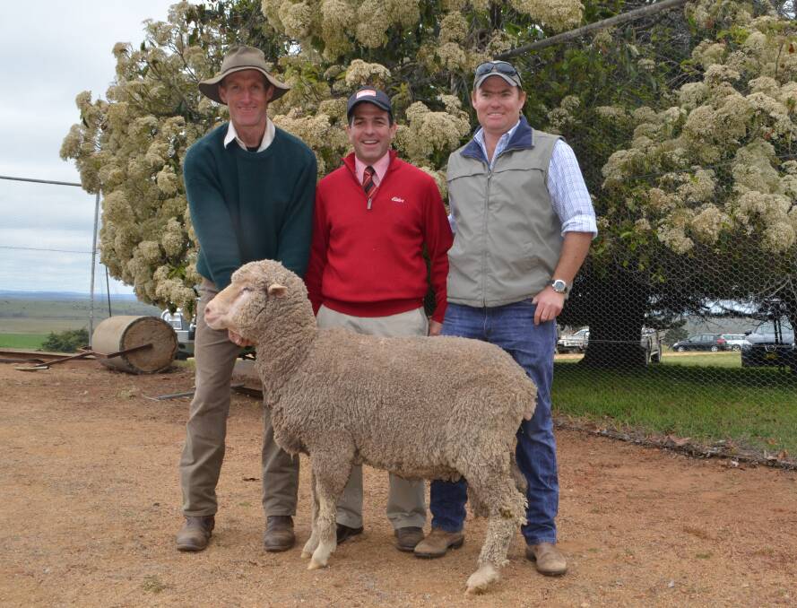 With the top priced ram: Alan McGufficke, Greendale Merinos, Cooma, Sam Green, Elders, Cooma and buyer Jack Glasson, "Jimenbuen", Dalgety.