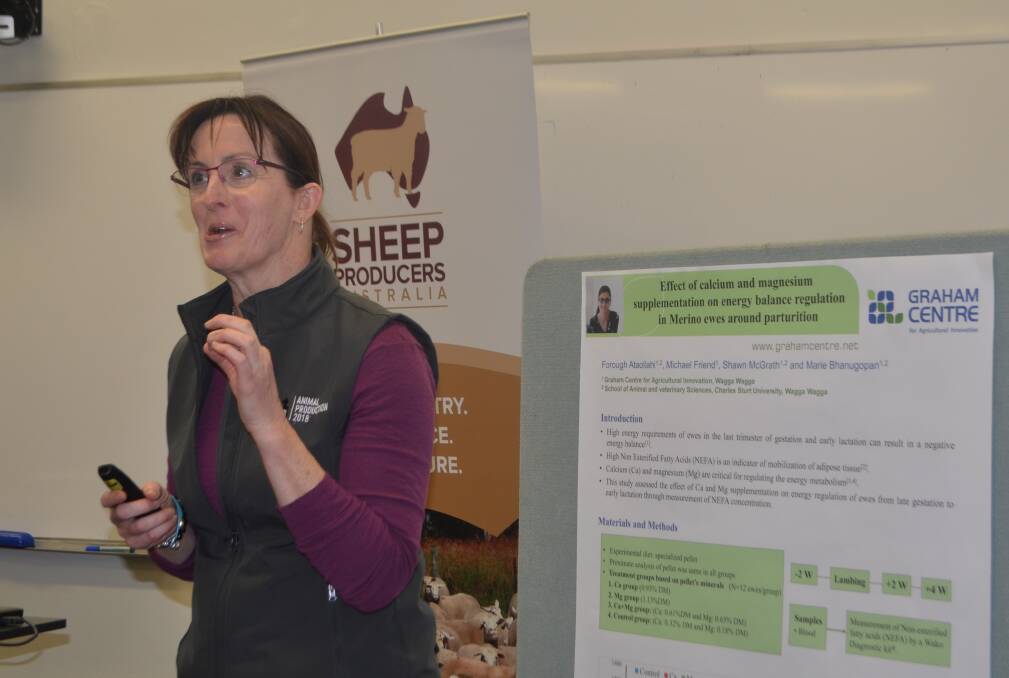 Dr Hatcher is a director of Makin Outcomes. Culling twice dry ewes consecutively or in any two years does not make a lot of difference to the outcome in terms of breeding efficiency, the number of lambs weaned.
