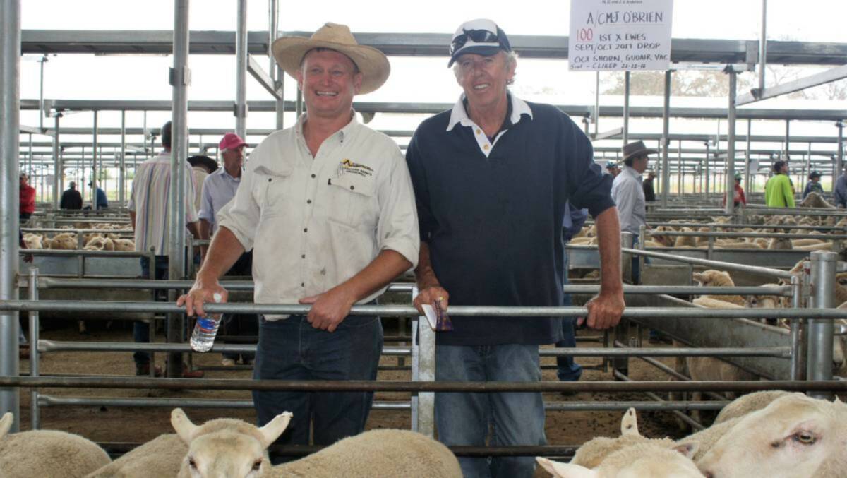 Greg Anderson, MD and JJ Anderson, Crookwell, got the second top price at $274 for the 251 one-and-half-year ewes offered by John O’Brien from Boobalaga, Crookwell. Photo by Hannah Sparks.
