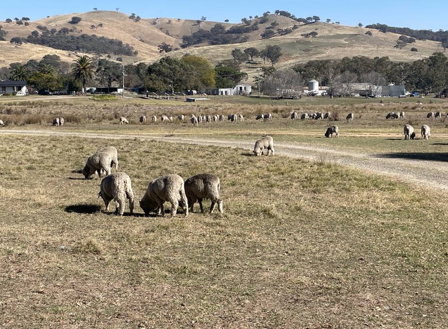 The Australian family farm is threatened by biosecurity breaches. Photo: Stephen Burns