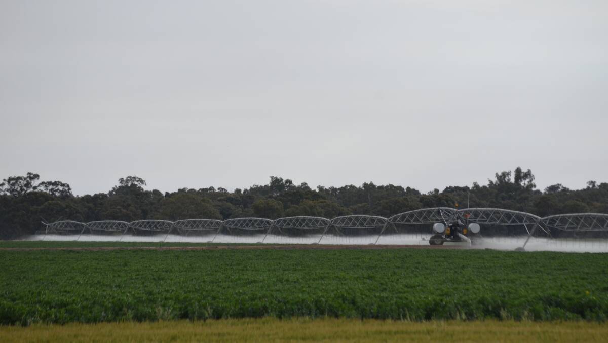 Irrigation can be manipulated to realise yields not possible in traditionally dryland production systems. 