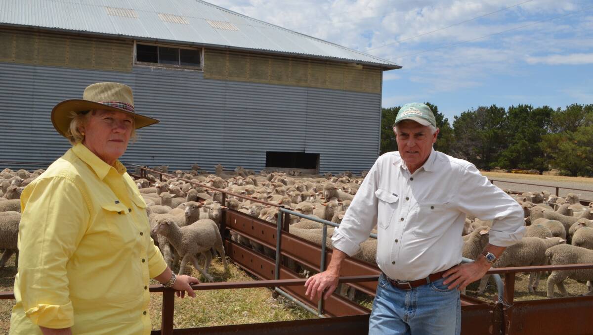 Frances and Andrew Elsegood, Bogo, Bookham sold 334 White Suffolk/Merino cross lambs weighing 37kg for $114.
